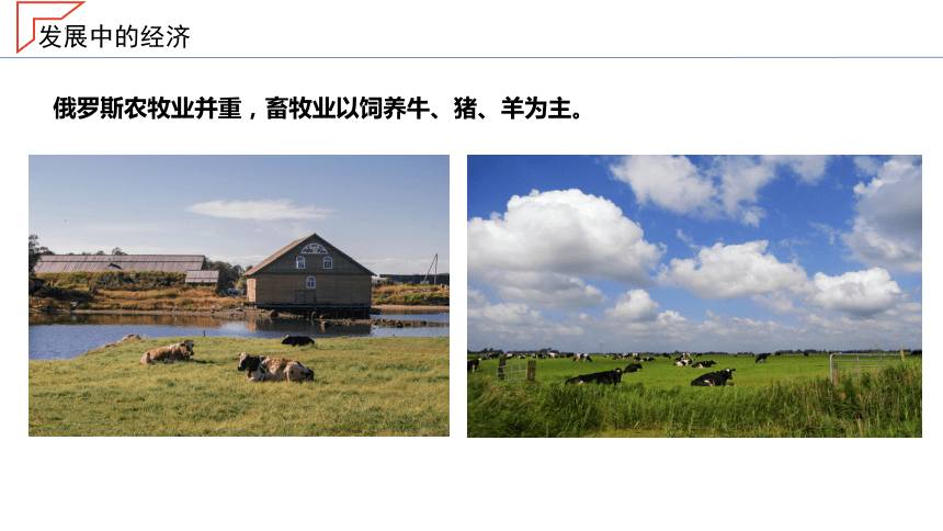 8.3.2 《俄罗斯》 课件（共28页PPT）2022-2023学年七年级地理下册同步-湘教版