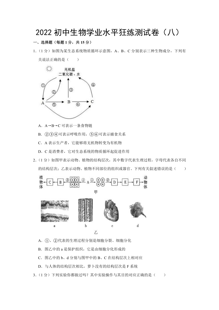 2022初中生物学业水平狂练测试卷（八）（word版含答案）