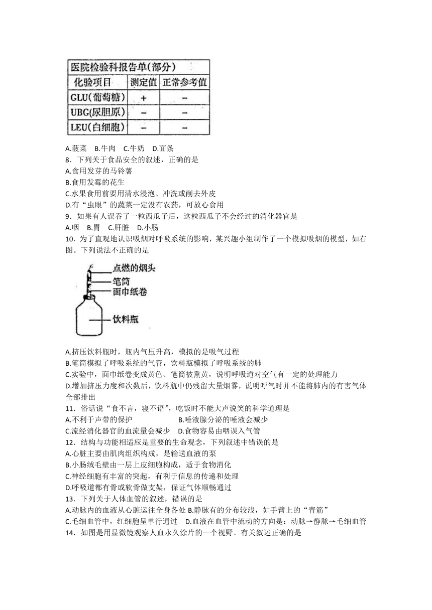 河南省焦作市2022-2023学年七年级下学期期末抽测生物试题（含答案）