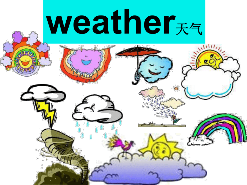 Module 1 Unit 1 What's the weather like ？ 课件(共15张PPT)