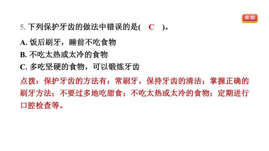 教科版（2017秋） 四年级上册2.7　食物在口腔里的变化习题课件（10张PPT)