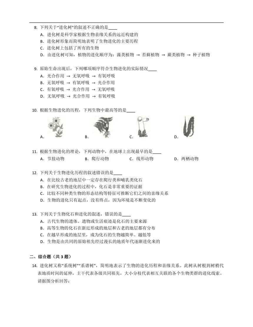 人教版八下7.3.2生物进化的历程（含答案）