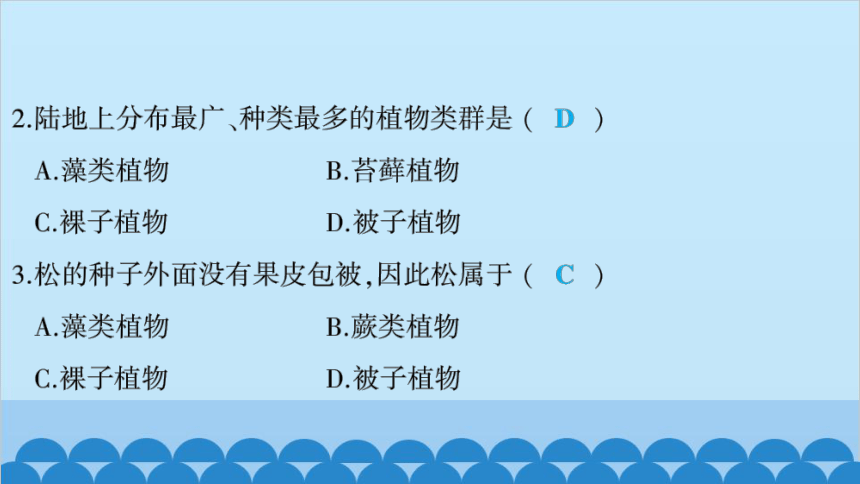 人教版生物七年级上册3.1.2　种子植物  第2课时　裸子植物和被子植物 习题课件(共19张PPT)