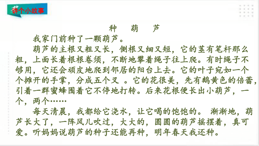 14.我要的是葫芦   课件（共45张PPT）