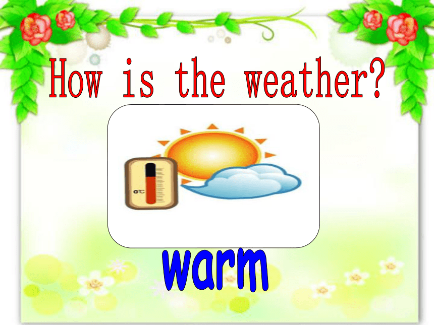 Module 6 Unit 11 What's the weather like today?课件(共36张ppt)
