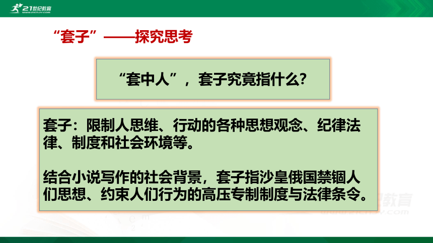 13.2 装在套子里的人 课件