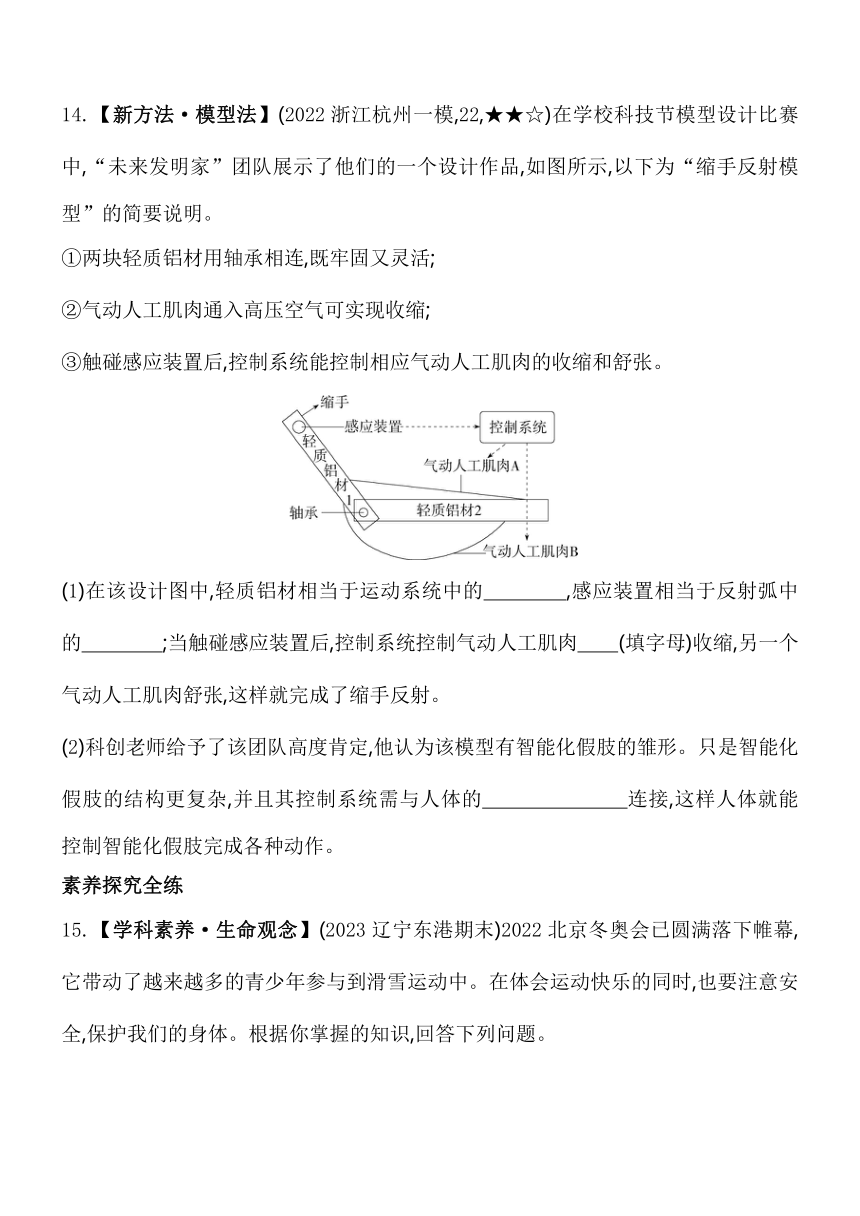 3.5人的运动系统和保健 同步练习（含解析）