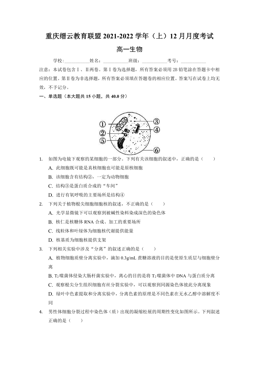 重庆市缙云教育联盟2021-2022学年高一12月月考生物试题（Word版含答案带解析）