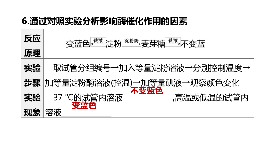 2022年浙江省中考科学一轮复习 第06课时　与人体代谢相关的系统-呼吸和消化（课件 43张PPT）