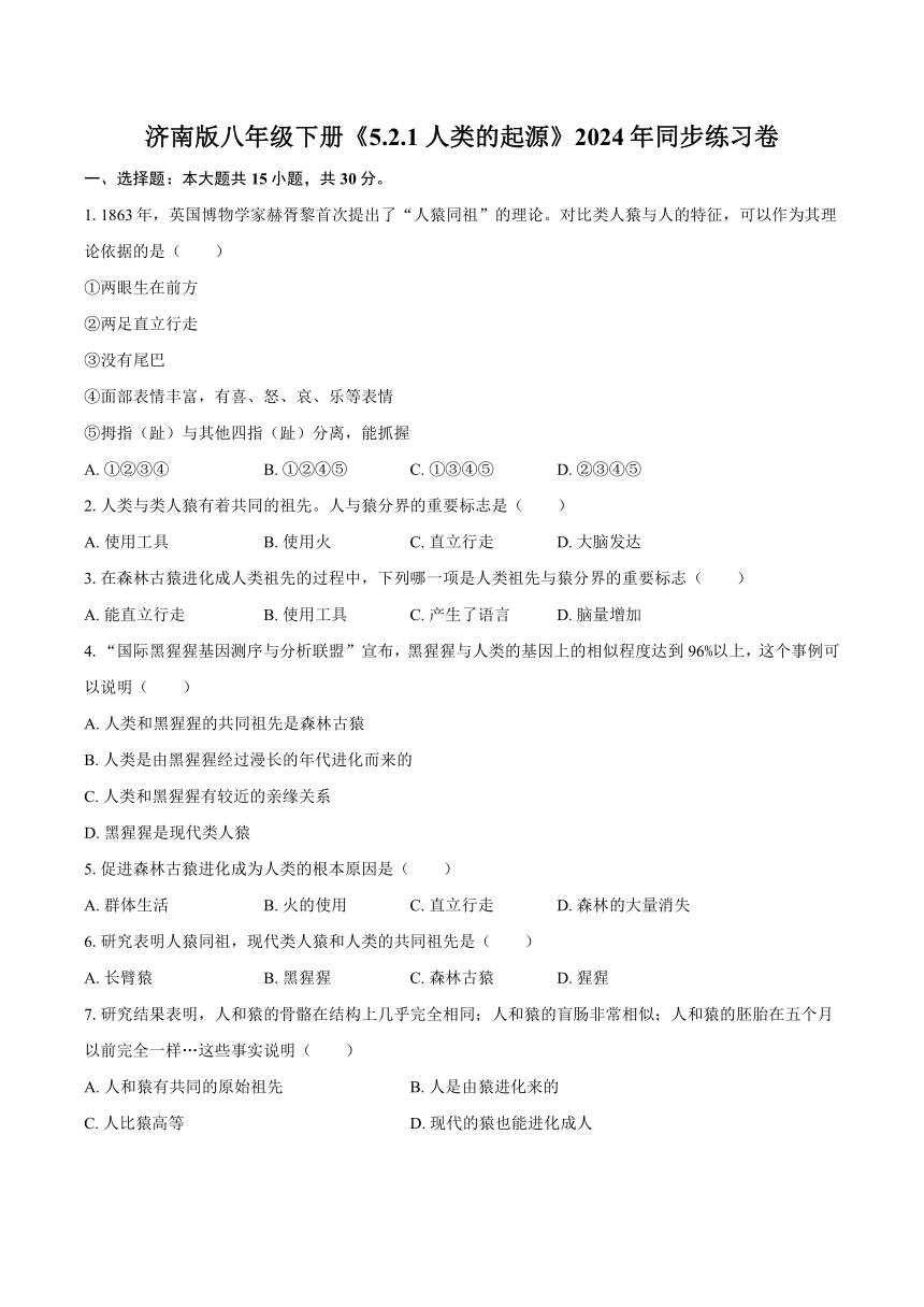 5.2.1 人类的起源2024年同步练习卷（含解析）济南版八年级下册