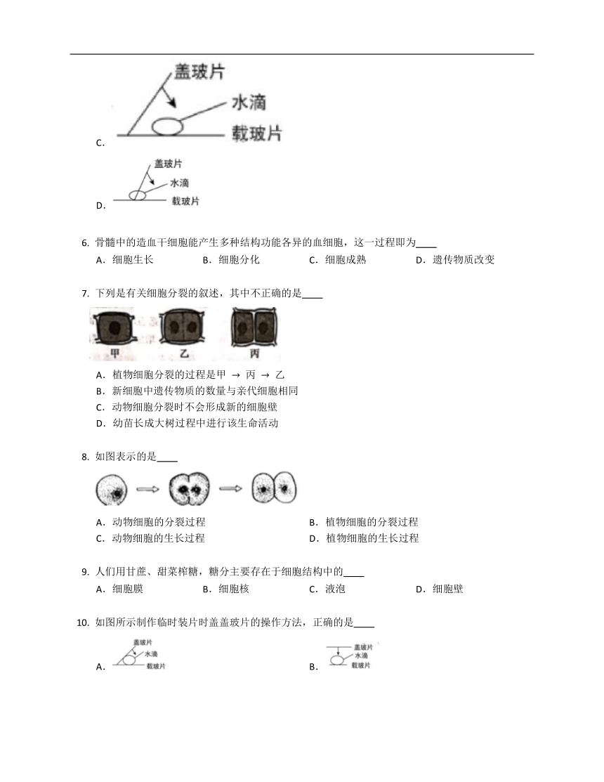 4.8生物体有相同的基本结构练习（含答案）苏科版七年级下