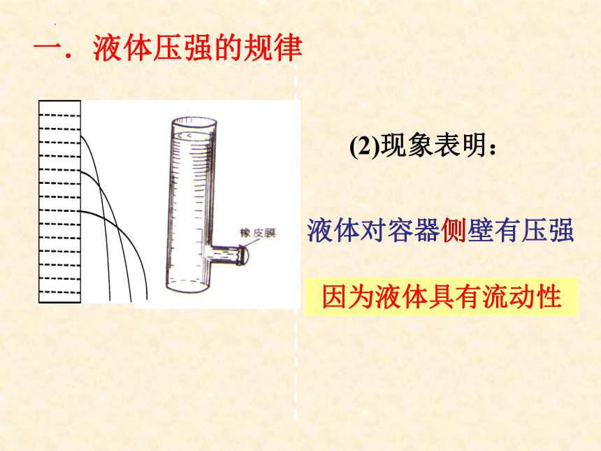 人教版 初中物理 八年级下册 第九章 压强 9.2液体的压强课件（69页ppt）