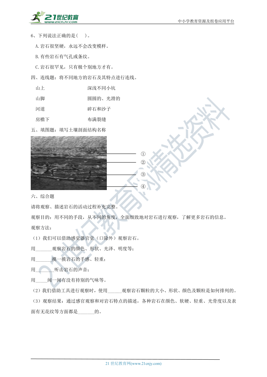 3.1《岩石和土壤的故事》练习（含答案）