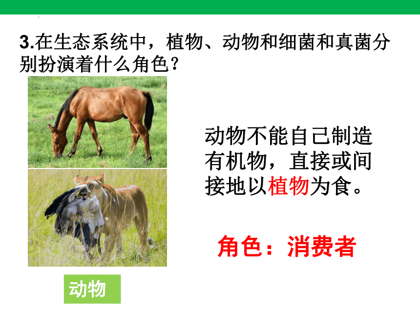 1.2.2生物与环境组成生态系统课件(共23张PPT)2023-2024学年人教版生物七年级上册