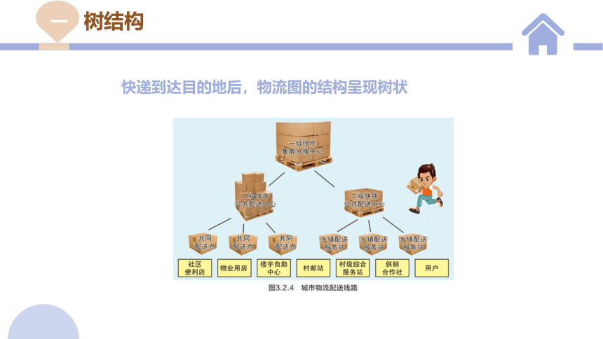 3.2 数据与结构 第二课时 课件(共20张PPT)