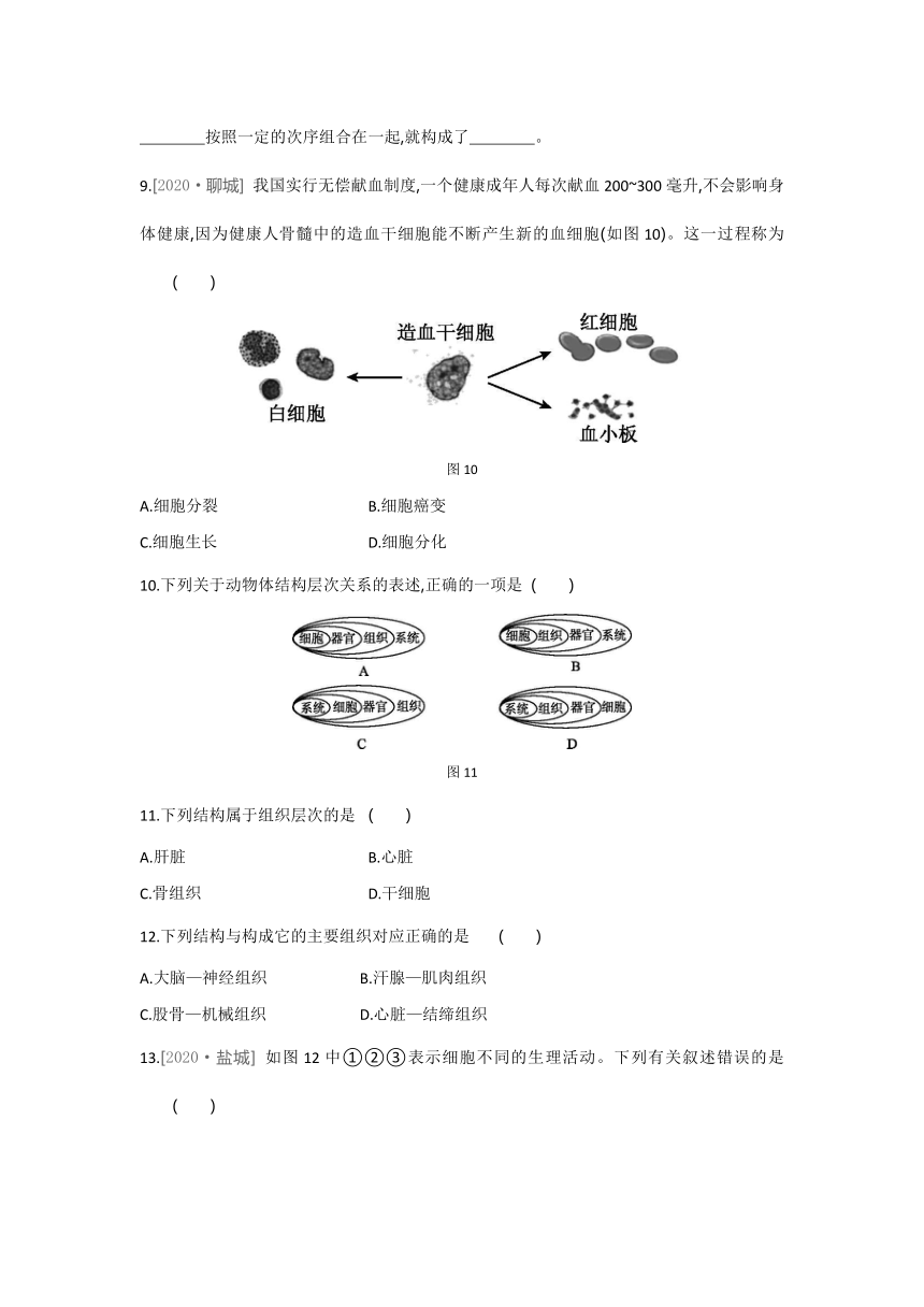 2021-2022学年人教版生物七年级上册2.2.2动物体的结构层次---同步练习 （word版 含解析）