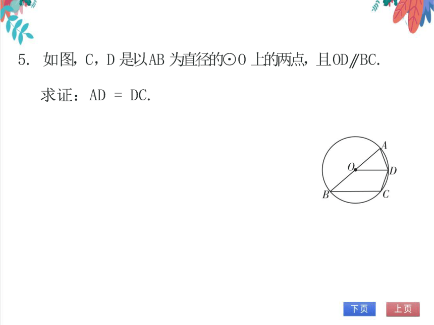 【北师大版】数学九年级（下）3.2 圆的对称性 习题课件