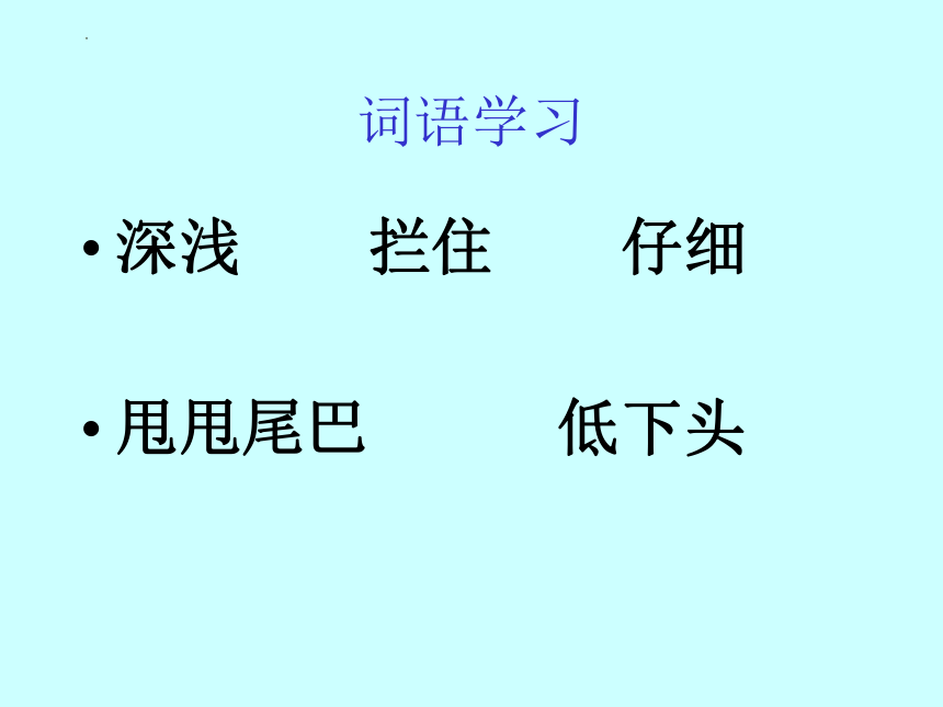 14《小马过河》 课件（共24张PPT）