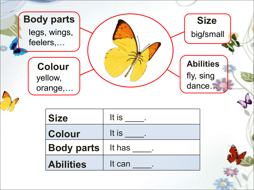 Module 4 Unit 1 Insects课件(共21张PPT)