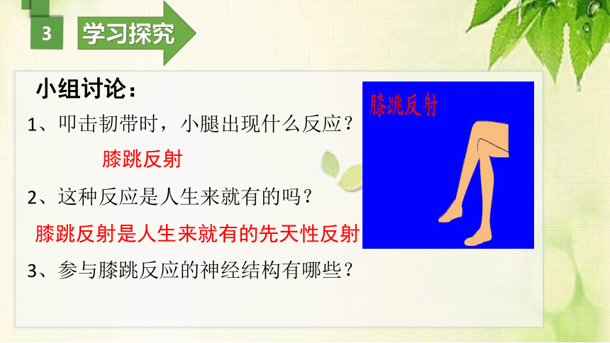 2021--2022学年冀教版生物七年级下册2.4.3信息的处理（一）神经调节的基本方式—反射课件(共20张PPT)