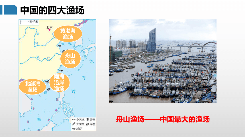 3.4 中国的海洋资源（课件）- 2022-2023学年八年级地理上册同步优质课件（湘教版）(共31张PPT)