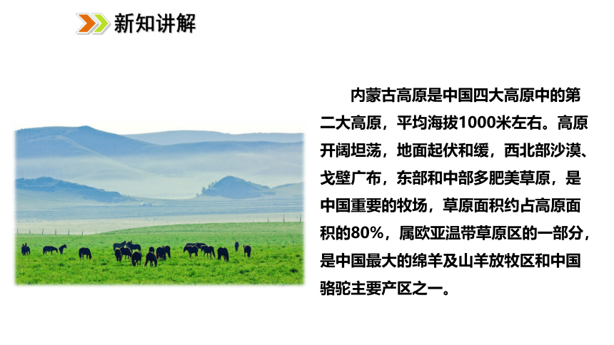 2021-2022学年度人教版八年级地理上册课件2.1.1地形类型多样，山区面积广大(共36张PPT)