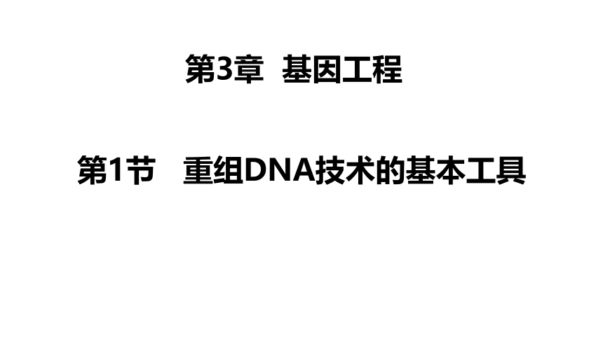 3.1 重组DNA技术的基本工具(共37张PPT)-高二生物课件（人教版2019选择性必修3）
