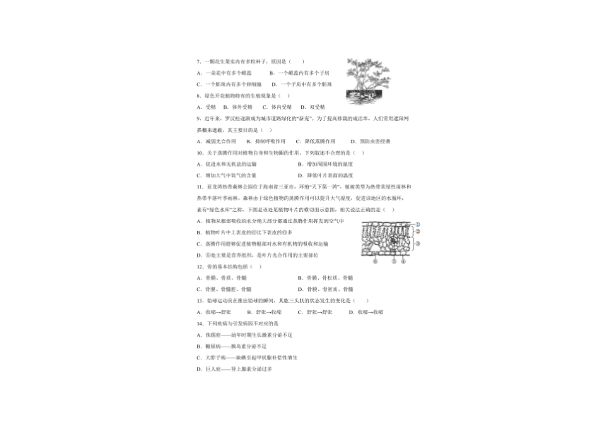 江苏省泰州市姜堰区第四中学2022-2023学年上学期八年级第二次独立作业生物（PDF版含答案）