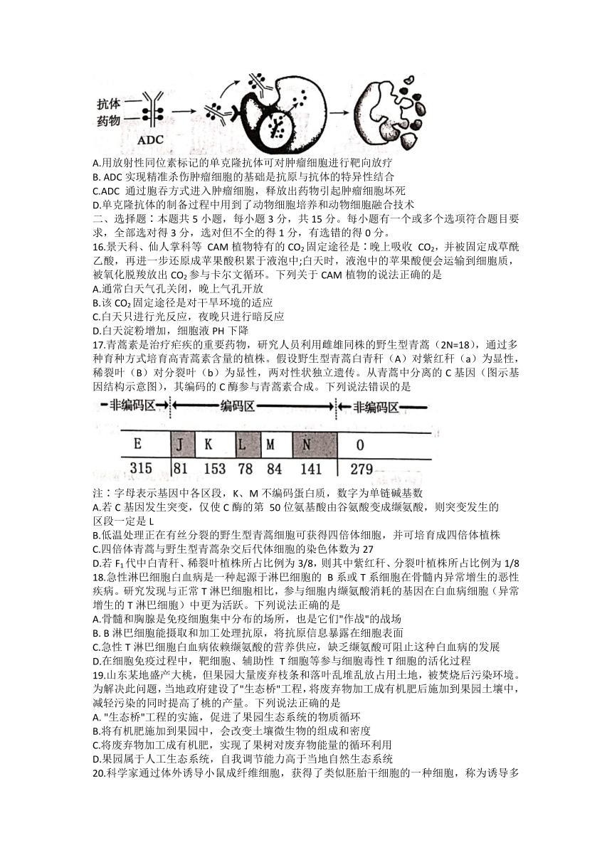 山东省菏泽市2021-2022学年高三上学期期末考试生物试题(A)（Word版含答案）