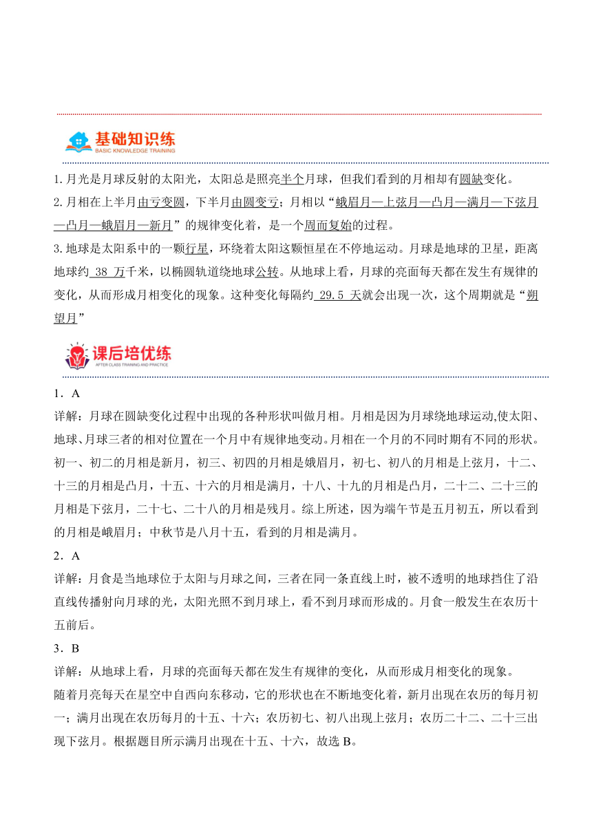 2023-2024学年科学四年级下册（粤教粤科版）第23课 变化的月相（同步阶段练习）（含解析）