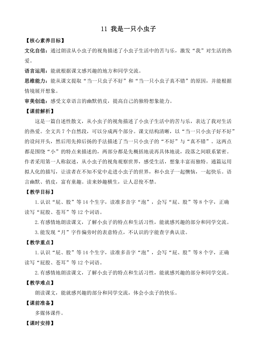 11 我是一只小虫子 优质教案（2课时）