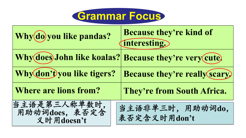 七年级下册英语Unit5 Why do you like pandas? Section A（Grammar Focus-3c） 课件（共36张PPT）