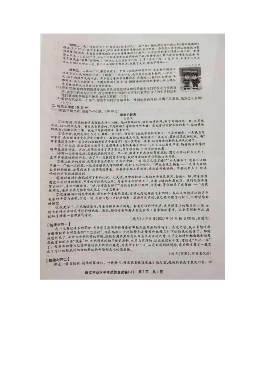 2021年河南省中考学业水平考试仿真语文试卷A（无答案）