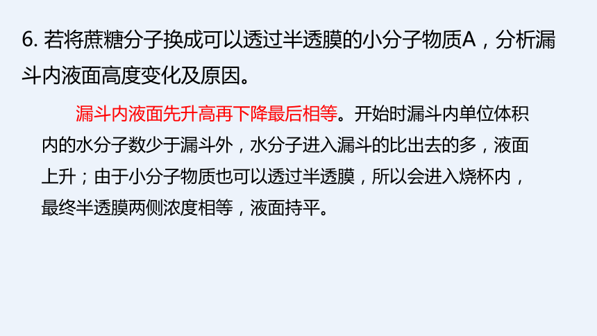 2021—2022学年 高一上学期 人教版（2019）必修1    4.1 被动运输   课件（33张）