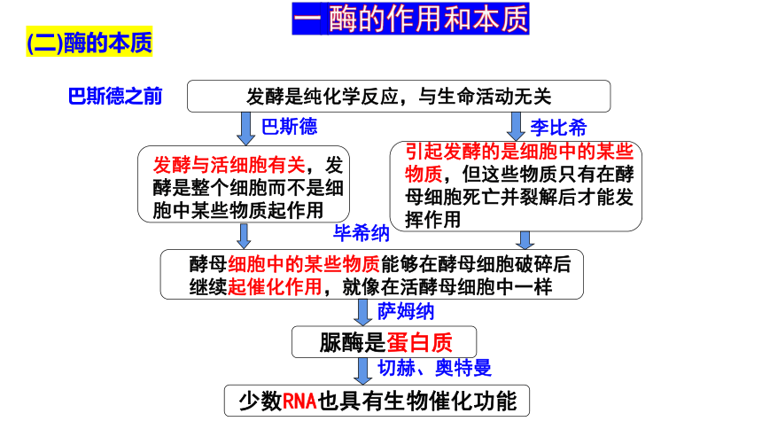 5.1降低化学反应活化能的酶课件(共41张PPT)