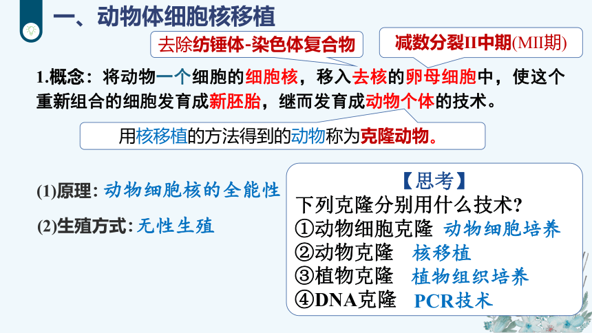 2.2.3 动物体细胞核移植技术和克隆动物课件（共18张PPT）2022-2023学年高二下学期生物人教版选择性必修3