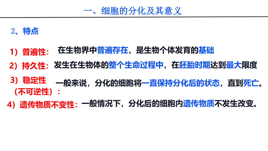 2021-2022学年高中生物人教版（2019）必修一6.2 细胞的分化课件（23张PPT）