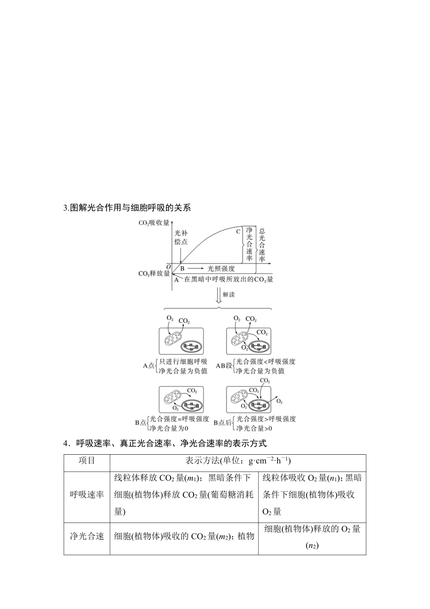 2022-2023学年苏教版（2019）高中生物必修1 第三章 第四节 微专题三 光合作用与细胞呼吸的关系、曲线模型及相关实验设计（学案+跟踪练 word版含解析）
