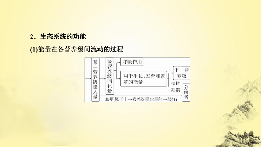 新人教生物二轮复习课件13 生态系统和环境保护(课件共54张PPT)