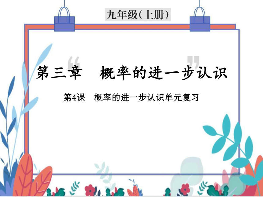 【北师大版】数学九年级（上）3.3 单元复习--概率的进一步认识 习题课件