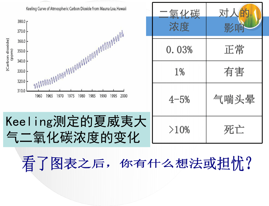 6.18.2绿色植物与生物圈中的碳—氧平衡课件(共23张PPT)2022--2023学年苏科版生物八年级上册