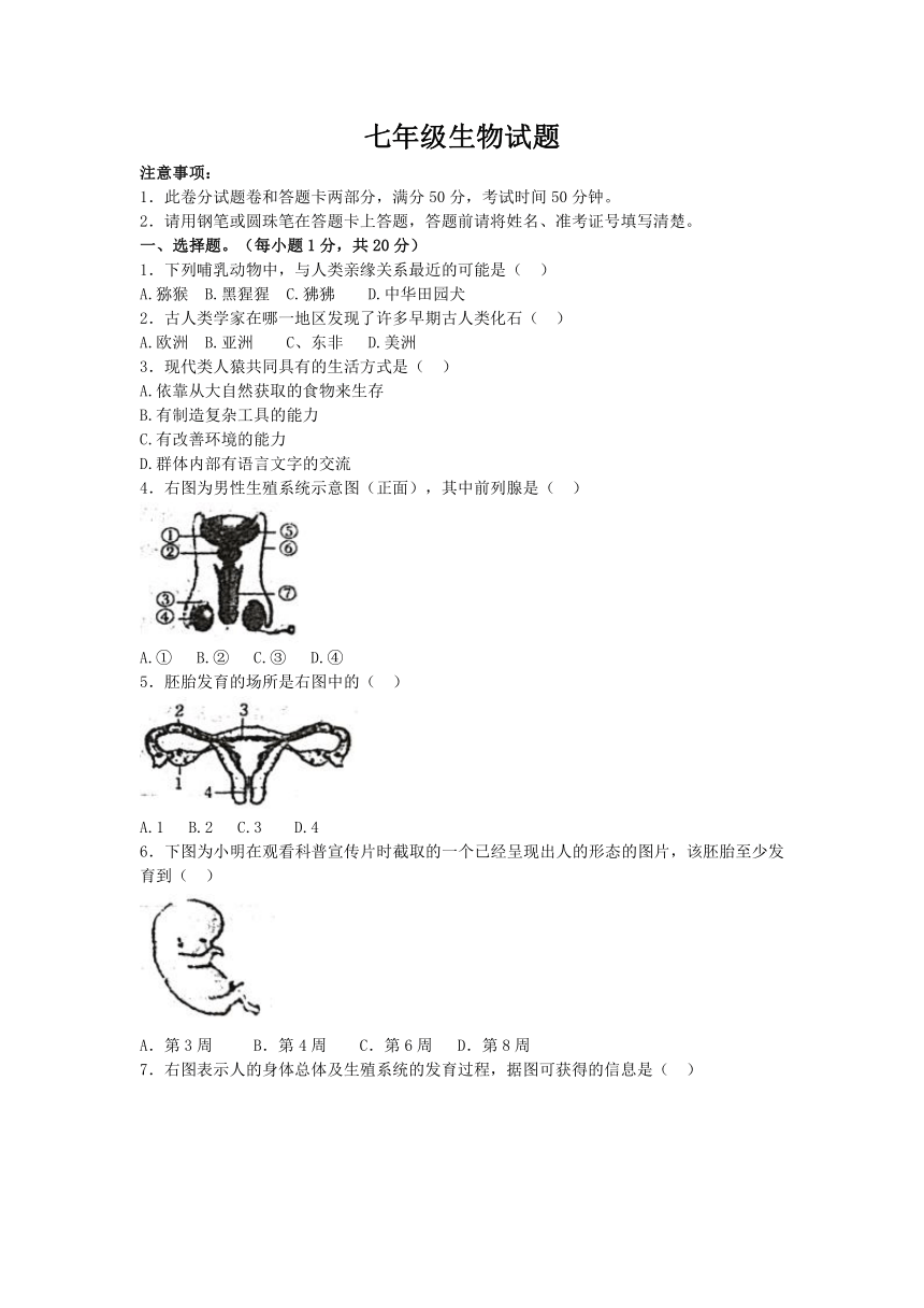 河南省周口市郸城县第二实验中学2022-2023学年七年级下学期3月月考生物试题（含答案）