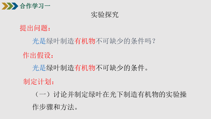 2021-2022学年人教版生物七年级上册3.4绿色植物是生物圈中有机物的制造者课件（共25张PPT 含视频）