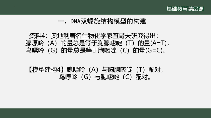 生物人教版（2019）必修2 3.2  DNA的结构（共24张ppt）