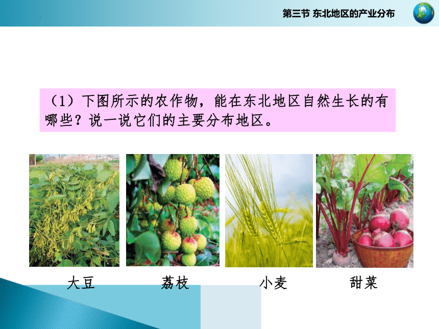 2021-2022学年湘教版地理八年级下册 6.3 东北地区的产业分布 课件(共31张PPT)