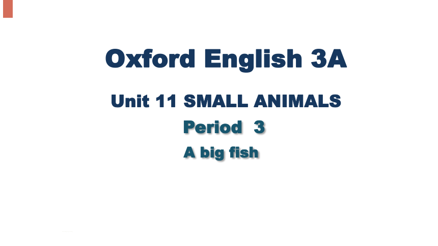 Module 4  Unit 11 Small animals  Period 3 课件（共32张PPT，内嵌音视频）