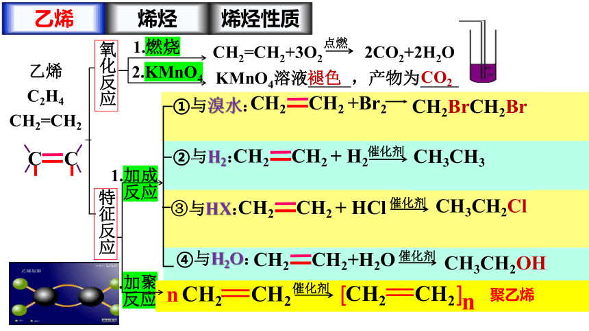 化学人教版（2019）选择性必修3 2.2.1烯烃（共27张ppt）
