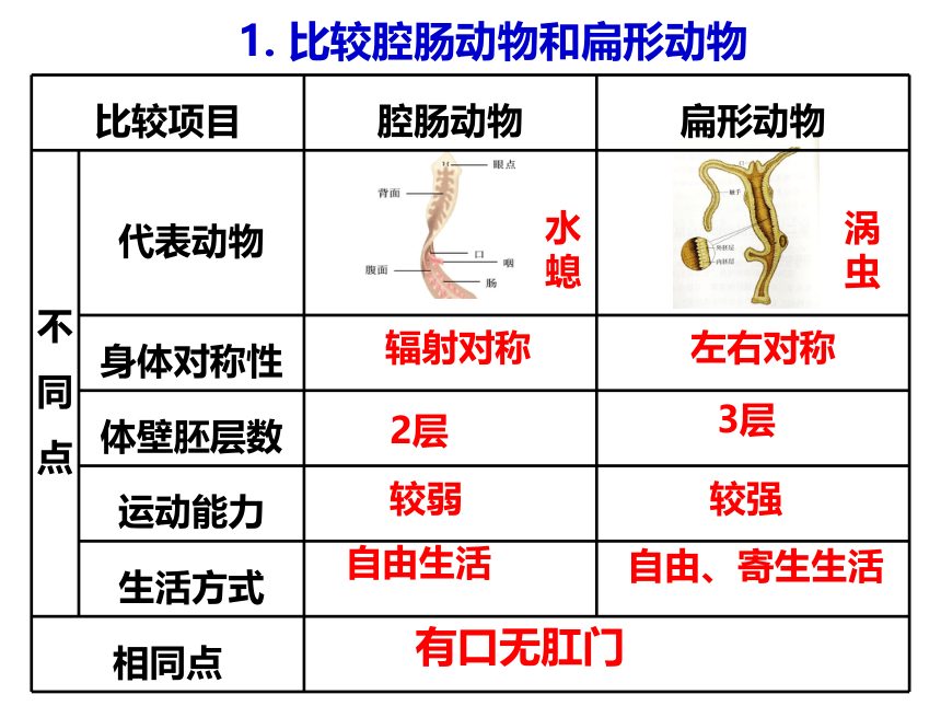 2021--2022学年冀少版生物七年级上册1.4 多种多样的动物 复习课件(共12张PPT)