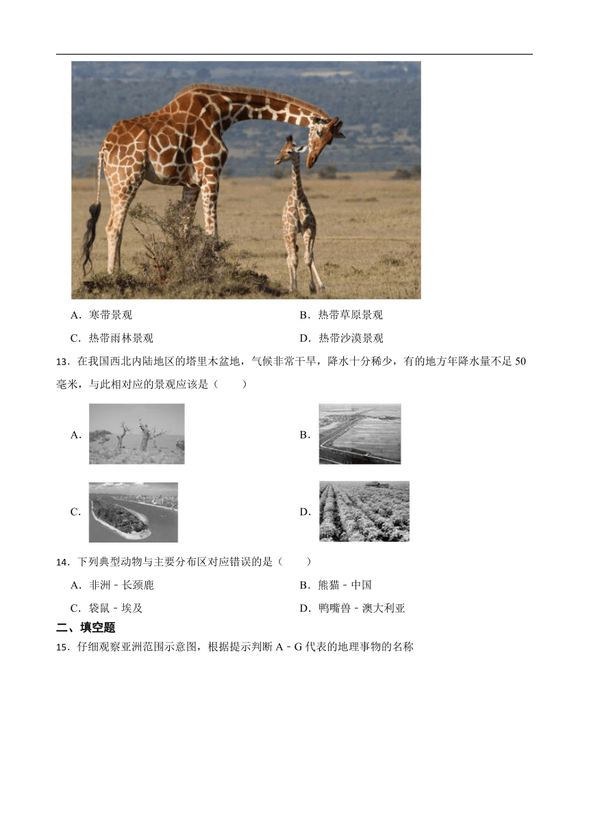 2.2.4风光迥异  同步练习（含答案解析）