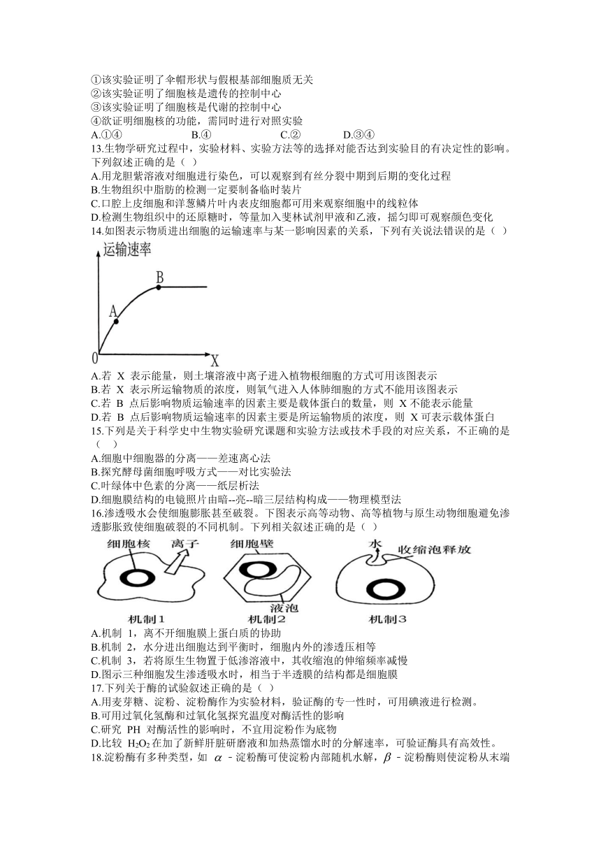 江西省赣州市十六县（市）十七校2022届高三上学期期中联考生物试题（Word版含答案）